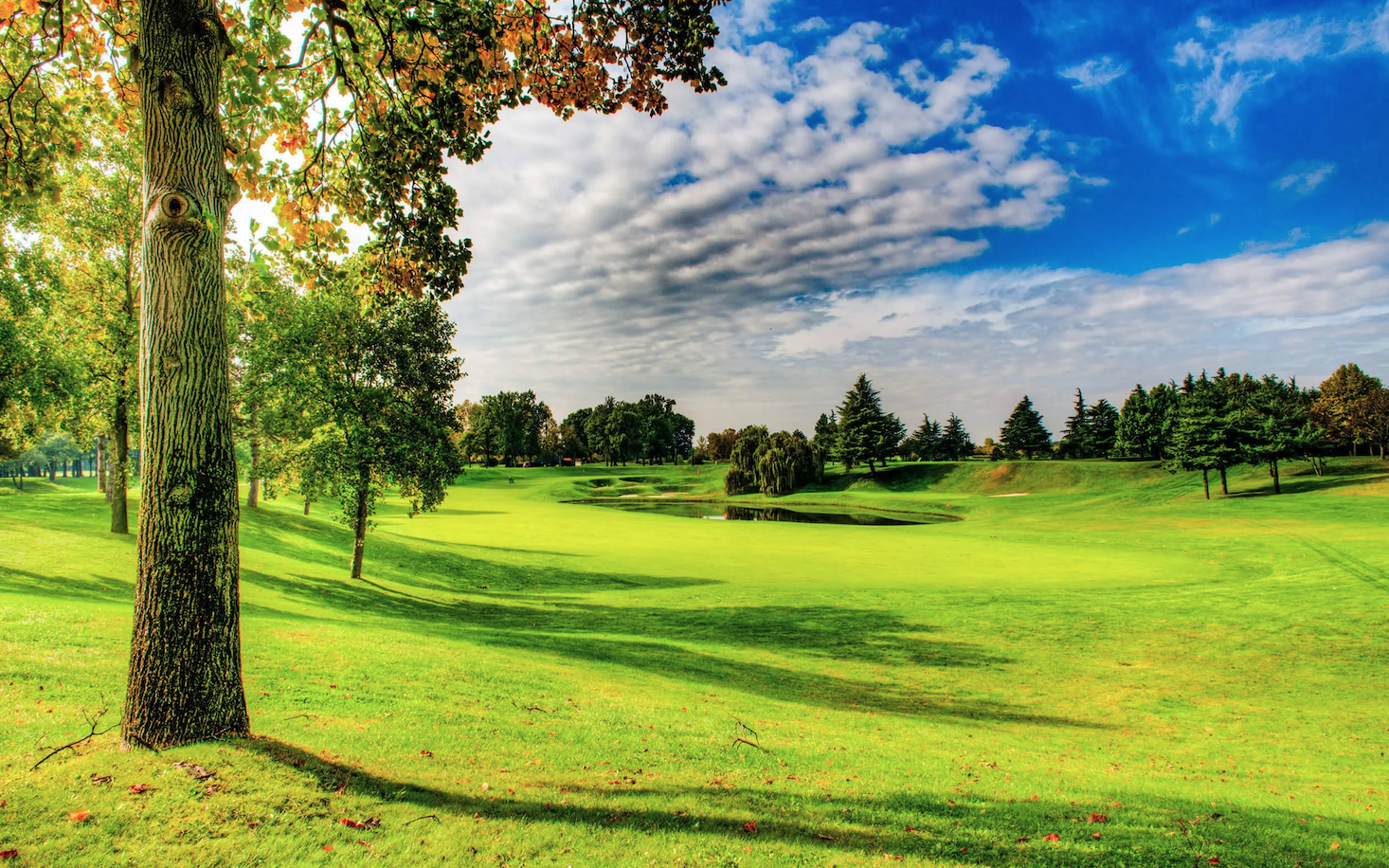 Porsche Green Cup 2023 - Le Robinie Golf Club & Resort (VA)
